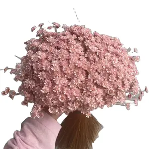 雲南省低価格卸売ミニ装飾カラフルな小さな乾燥ブラジルの星の花工芸品用の小さなドライフラワー