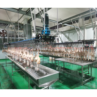 Ligne d'équipement d'abattage pour abattoir de volailles et usine de transformation de poulets, la plus vendue, à vendre