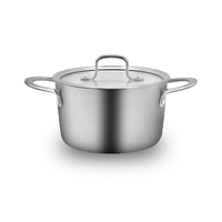 Casserole en acier inoxydable de haute qualité Zhenneng, marmite à soupe, marmite à fond épais, grande capacité 20 cm avec couvercle en verre pour restaurant
