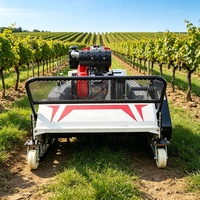 Tracteur à roues continuantes autopropulsé à essence, télécommandé, réglable en hauteur (800 mm), livraison gratuite