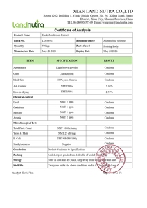 สารต้านอนุมูลอิสระ, เห็ดกินได้ยอดนิยม: f.velutipes/ เห็ด Enoki/สารสกัดจากเห็ดเข็มทอง - Product Image 5
