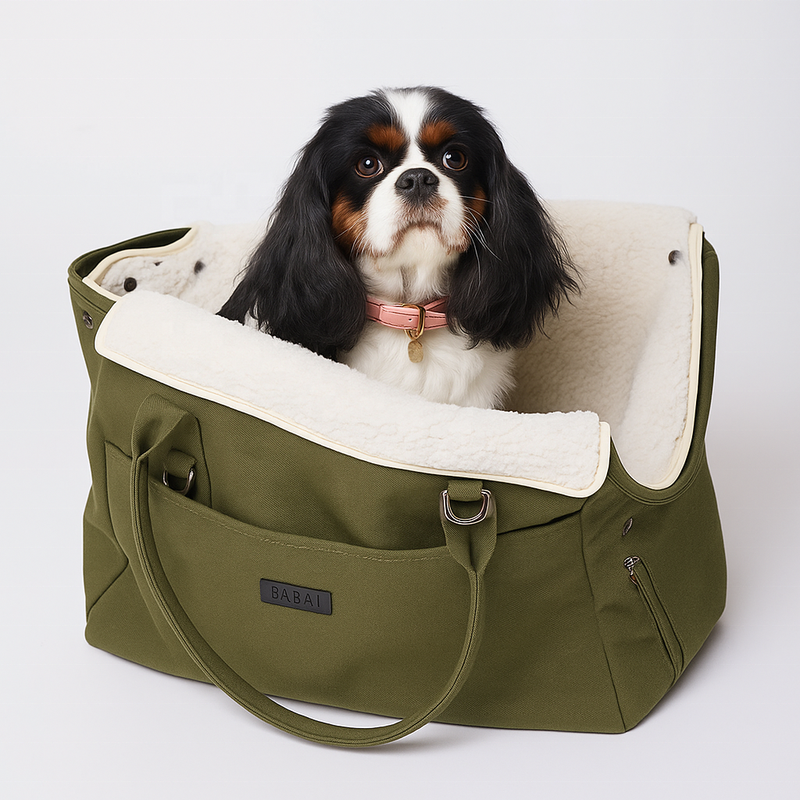 YCW Portable Canvas Fashion Pet Travel