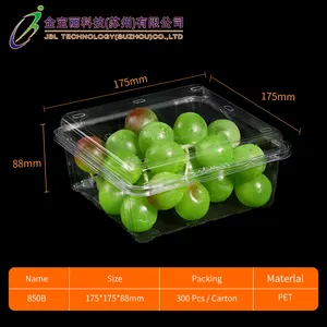 Benutzer definierte klare transparente Lebensmittel behälter PET Einweg Kunststoff Clam shell Gemüse Obst Verpackungs box für Trauben Litschi Kirsche