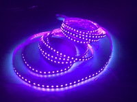 Bande lumineuse LED UV violette 365nm 395NM 8MM 5mm 2835 SMD 12V 24V 5V 120 60LEDS