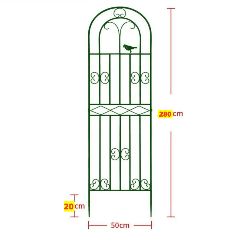 Dark green, thickened, 50 cm wide, 28 meters high