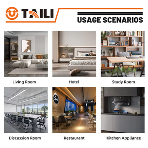 Chất lượng cao Nội Thất Tường chuyển đổi 250V tuyệt vời nhà và thương mại chuyển đổi quyền lực có thể được tùy chỉnh - Product Image 3