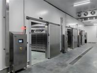 Chambre froide-congélateur automatique personnalisée pour cuisine centrale avec moteur, idéale pour la restauration, les restaurants et le stockage commercial de denrées alimentaires