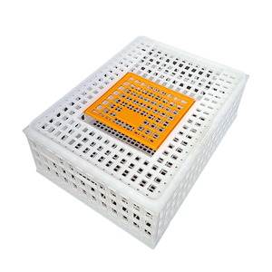 بلاستيك جديد من نوع A لتربية الدجاج والدواجن والأرانب والحمام معدات زراعية أساسية - Product Image 2