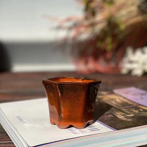 Mini pot de plantes succulentes pour décoration de jardin, vente en gros, avec trou de Drainage - Product Image 3