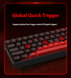 Fgg Mad 60 ông không có RGB trục từ màu đen 60% có dây từ PO chuyển đổi Pro cơ khí Bàn phím chơi game điên 60he mad60 mad60he - Product Image 4