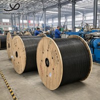 Cable de Alimentación Armado con Cinta de Acero Al/XLPE/PVC/STA, 3C 4C 25-400mm 0.6/1kV, Cable Subterráneo de PVC