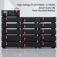 Baterai Surya HV Solid State LiFePO4 Rakit Rak BOS-W-PDU-2 51.2V 100Ah 6000 Siklus