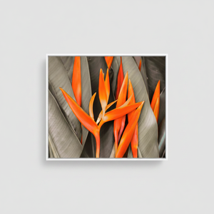 Arte en lienzo impreso con diseño de pájaro del paraíso naranja vibrante, diseño floral Art Deco, decoración de pared colgante con marco transparente - Product Image 2