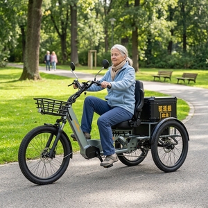 Nouveau Tricycle Électrique 2026 à Longue Portée (250 km), Vélo <span class=keywords><strong>Cargo</strong></span> Électrique 1750W 48V à Moteur Central pour 2 Personnes, Scooter Électrique à Trois Roues - Product Image 2