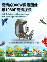 Mangeoire à oiseaux intelligente avec reconnaissance des espèces par IA, vision nocturne HD 1080P, audio bidirectionnel, alertes de mouvement, dissuasion des écureuils, montage mural