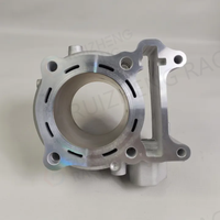 Blok Keramik Ruizheng Racing PCX160 Vario160 ADV160 Kit d'alésage de cylindre en céramique pour Honda