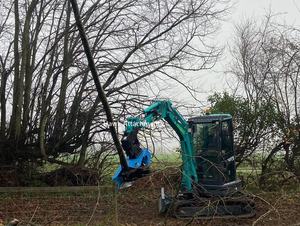 Excavadora hidráulica para árboles, tijeras de madera, miniexcavadora - Product Image 6