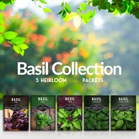 Kit de Jardinage Écologique et Durable pour la Culture Intérieure : Sachet de Semences de Basilic et 5 Herbes Aromatiques Colorées pour la Maison