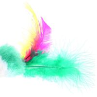 Mini souris en polaire douce et mignonne pour chat, jouets de formation amusants avec plumes colorées pour chats