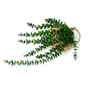Plante artificielle à 12 brins, plante grimpante douce, panier tressé, plante <span class=keywords><strong>en</strong></span> <span class=keywords><strong>pot</strong></span> d'<span class=keywords><strong>eucalyptus</strong></span> avec faux-sol, plantes vertes à faible entretien - Product Image 2