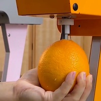 Commercial, ménage, fête, restaurant fruits Orange mélangeurs pastèque agrumes presse-agrumes extracteur Machine
