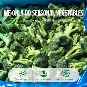 2024 Nueva calidad de la cosecha Sin adiciones Cortes IQF frescos Verduras congeladas Brócoli congelado