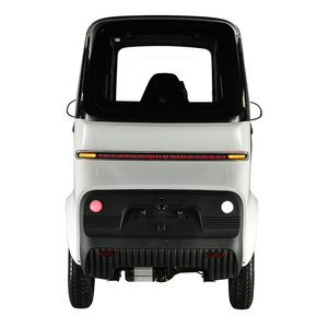 Triciclos Eléctricos con Cabina de Plástico y Puertas Extraíbles, Scooter Eléctrico para Personas con Discapacidad, Precio de Fábrica - Product Image 3