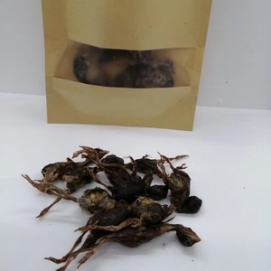 סיטונאי בהקפאה מזון מזון כלבים מיובש בהקפאה שלילה מזון יבש - Product Image 2