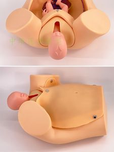 Modelo de <span class=keywords><strong>curso</strong></span> de entrega Demostración de parto Simulador de maniquí Modelo de Enfermería de parto - Product Image 2