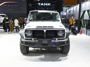 Trung Quốc Hot Bán xe xăng xe tank 300 cho đô thị xuyên quốc gia nóng bán Hot Bán xe từ Trung Quốc - Product Image 3