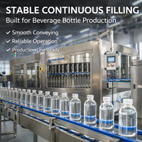 Machine de remplissage d'eau en bouteille à petite échelle, remplisseuse automatique pour animaux de compagnie, ligne de production complète pour la fabrication d'eau minérale pure