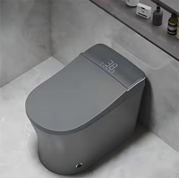 WC monobloc intelligent en céramique émaillée 3D gris de haute qualité, étanche, pour personnes âgées