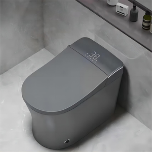 Chất Lượng Cao Màu Xám Không Thấm Nước 3D Spa Rửa Tráng Men Gốm Thiết Bị Vệ Sinh Một Mảnh WC Nhà Vệ Sinh Thông Minh Nhà Vệ Sinh Cho Người Cao Tuổi - Product Image 2