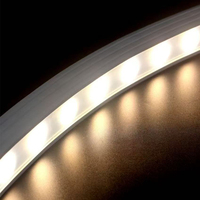 Tira LED neón silicona 12V/24V personalizable con tubo flexible