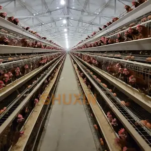 Meilleure vente cage chinoise de couche 3 attaches 120 capacité poulet automatique un type cage à volaille de Chine