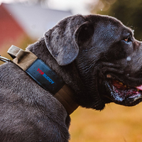 Collier de chien tactique durable en nylon de qualité supérieure, personnalisé, avec anneau en D en acier inoxydable, doublure en néoprène et patchs personnalisés, vente en gros