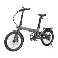 Vélo électrique pliable en fibre de carbone de 20 pouces, 250W, transmission par courroie, moteur central, batterie cachée, léger, pour les trajets urbains, vélo électrique OEM