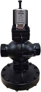 Reductor Spirax Sarco - Product Image 6