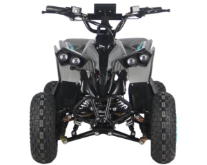 Vente flash - <span class=keywords><strong>Quad</strong></span> électrique 48V <span class=keywords><strong>800W</strong></span>, moto tout-terrain <span class=keywords><strong>pas</strong></span> chère, mini ATV pour enfants et adultes avec transmission semi-automatique - Product Image 2