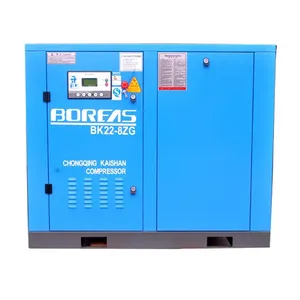 Compressore d'aria portatile Bk22-8g 55kw 8bar 10bar