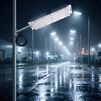 Module LED SMD 3030 50W IP65 à haut lumen, blanc chaud, angle large de 60 degrés, éclairage routier urbain, réduction sur les commandes en gros, haute efficacité