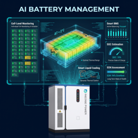 Batteria di accumulo energetico Inedge Power AC 105kW 208kWh/125kW 261kWh BESS BMS EMS raffreddata a liquido, sistema solare all-in-one per C&I
