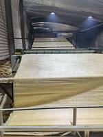 Placage de bois de peuplier naturel reconstitué en gros - Prix usine