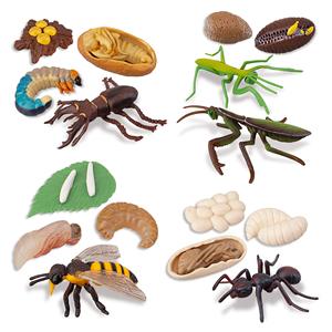 Offre Spéciale enfants Terrarium Kit Animaux de la ferme/Bugs pour filles et garçons - Product Image 5