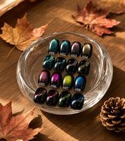 Vernis à ongles gel magnétique effet œil de chat 8 couleurs, vernis à ongles galaxie scintillant, base noire, effet holographique, kit de nail art UV