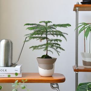 Nuovo design opaco soggiorno decorazione casa piante <span class=keywords><strong>da</strong></span> esterno <span class=keywords><strong>da</strong></span> giardino <span class=keywords><strong>vasi</strong></span> di <span class=keywords><strong>fiori</strong></span> in ceramica fioriere - Product Image 2