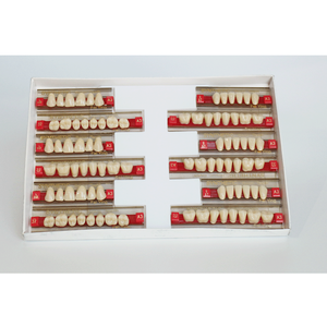 Fornitura dentale manuale denti plastica resina polimerica per protesi dentarie - Product Image 4