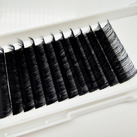 Extensions de cils, greffe de cils individuels, plateau de cils personnalisé, extensions de cils courbure CC DD, vison 20MM, fourrure de vison, volume intense, OEM ODM T/T