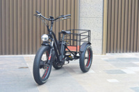 BEITE/TDE-09Z Bafang vélo électrique 250W avec moteur de moyeu arrière et système de frein à disque de batterie au lithium 48V tout dans une boîte en bois