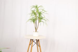 Venta directa de fábrica Plantas de mesa Artificial Pequeñas plantas de bonsái Árbol para la decoración de la Mesa del hogar de la Oficina - Product Image 4
